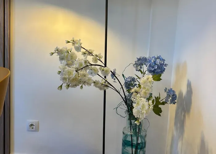 Casa Colibri 公寓 科拉雷侯